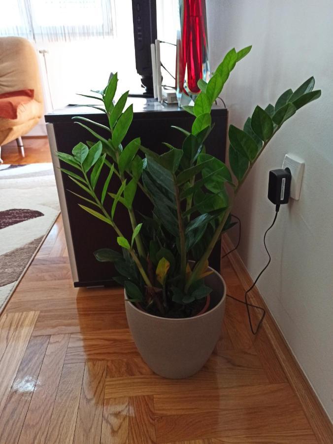Bk Apartment, Istocno Sarajevo, Lukavica Eksteriør billede
