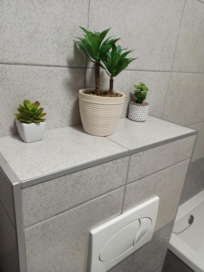 Bk Apartment, Istocno Sarajevo, Lukavica Værelse billede